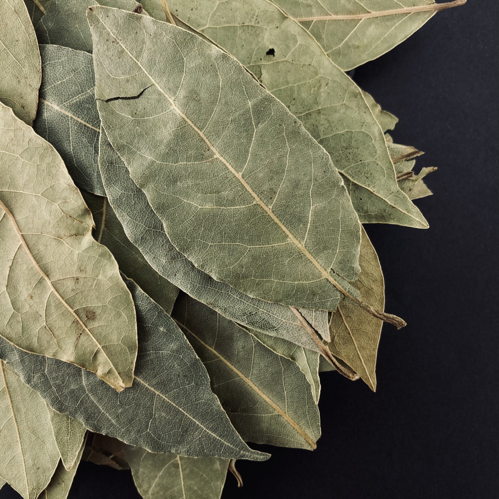 Hoja de Laurel: Beneficios en la Prevención de la Hipertensión y Salud Cardiovascular